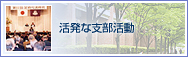 活発な支部活動